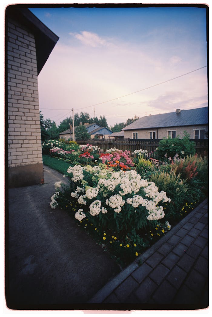 charming-garden-with-vibrant-summer-blooms-33418219